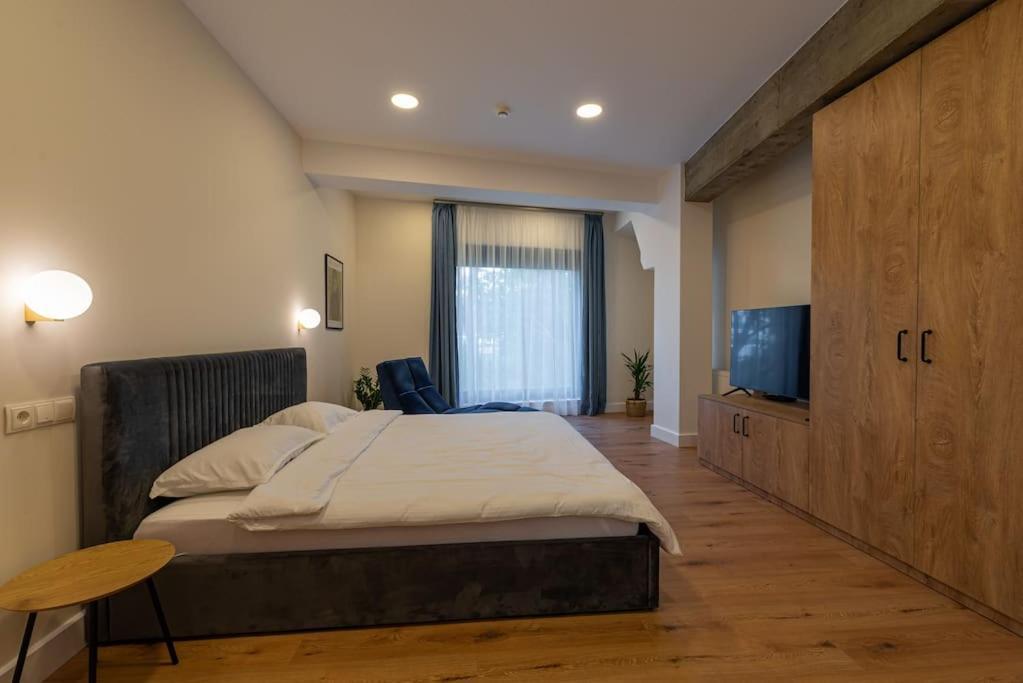 Fabrica Apartments 11 克卢日-纳波卡 外观 照片