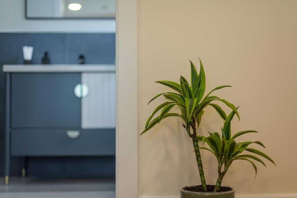 Fabrica Apartments 11 克卢日-纳波卡 外观 照片