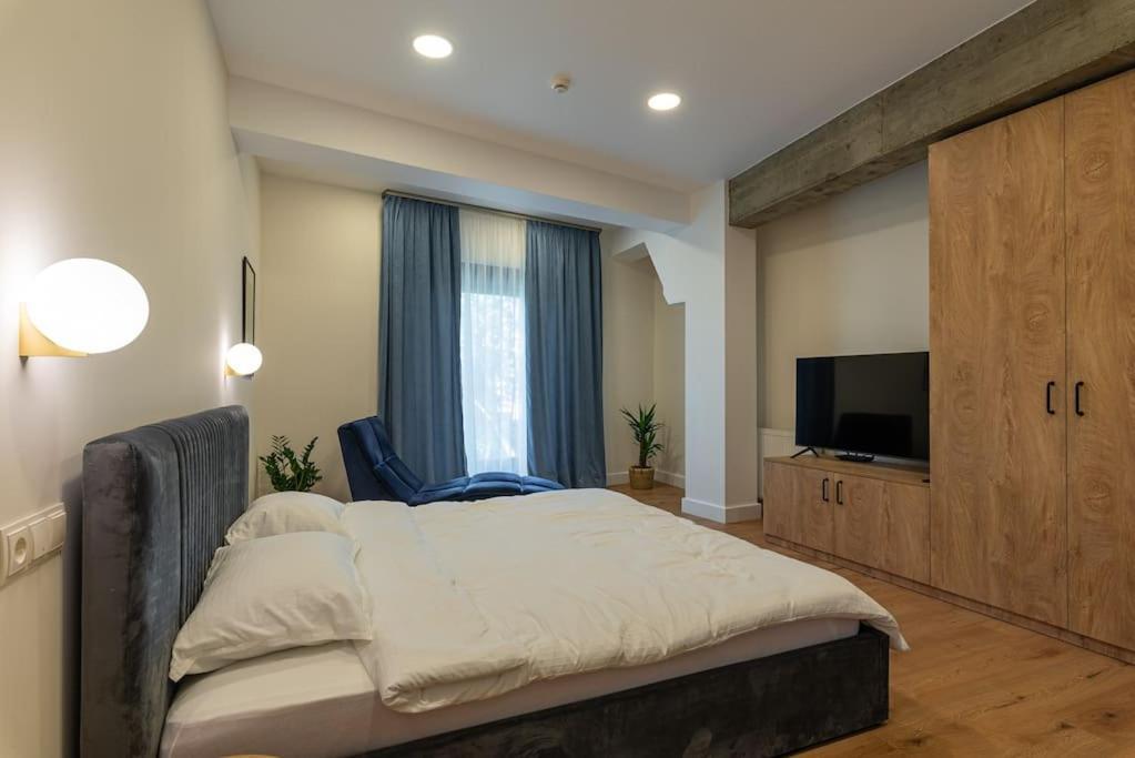 Fabrica Apartments 11 克卢日-纳波卡 外观 照片