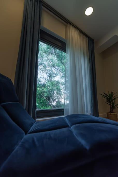 Fabrica Apartments 11 克卢日-纳波卡 外观 照片