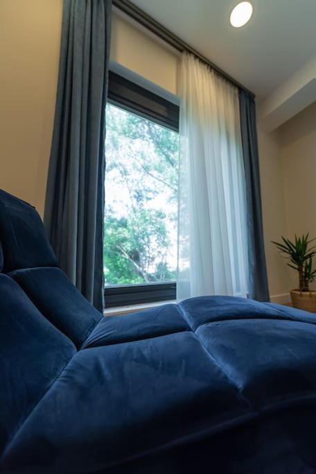 Fabrica Apartments 11 克卢日-纳波卡 外观 照片