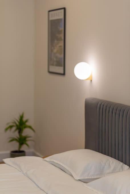 Fabrica Apartments 11 克卢日-纳波卡 外观 照片